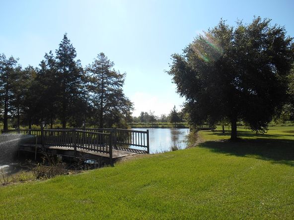 13505 Junius Rd, Abbeville, LA 70510